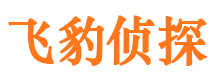 磁县市侦探